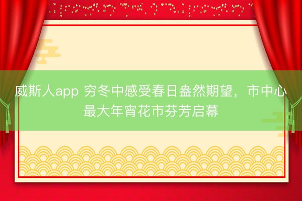 威斯人app 穷冬中感受春日盎然期望，市中心最大年宵花市芬芳启幕