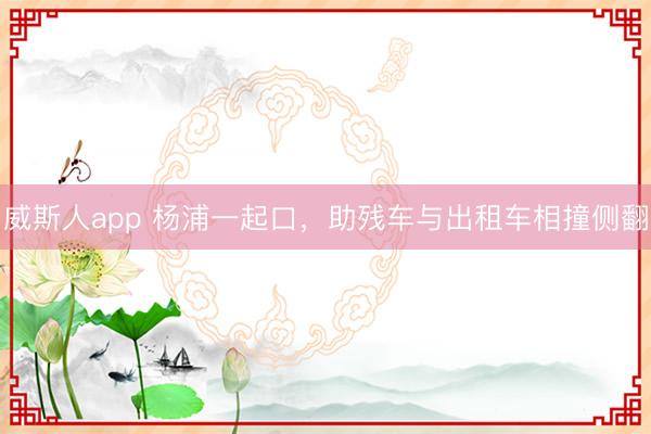 威斯人app 杨浦一起口,助残车与出租车相撞侧翻