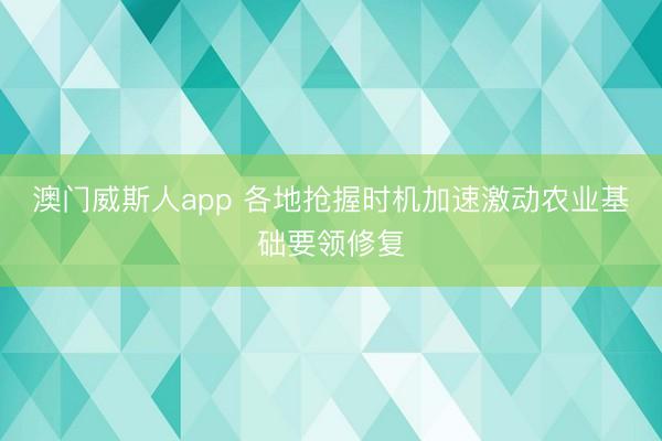 澳门威斯人app 各地抢握时机加速激动农业基础要领修复