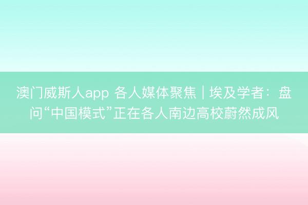 澳门威斯人app 各人媒体聚焦 | 埃及学者：盘问“中国模式”正在各人南边高校蔚然成风