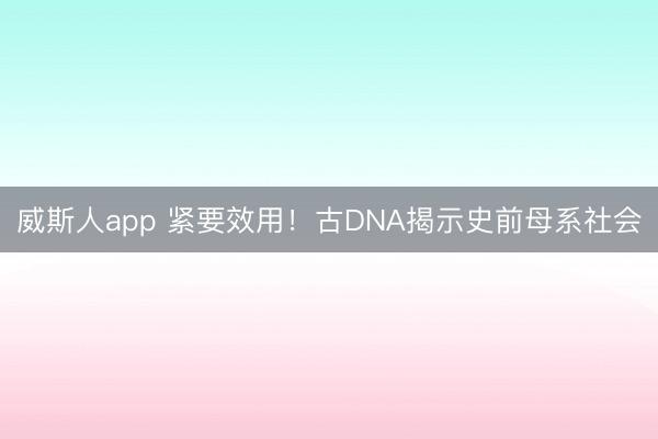 威斯人app 紧要效用！古DNA揭示史前母系社会