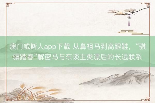 澳门威斯人app下载 从鼻祖马到高跟鞋，“骐骥踏春”解密马与东谈主类漂后的长远联系