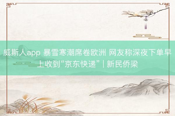 威斯人app 暴雪寒潮席卷欧洲 网友称深夜下单早上收到“京东快递” | 新民侨梁
