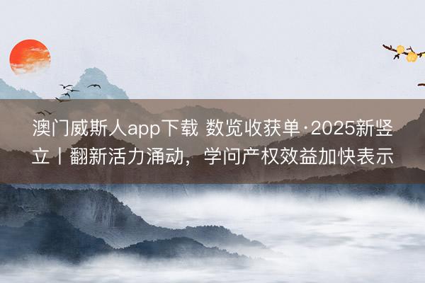 澳门威斯人app下载 数览收获单·2025新竖立丨翻新活力涌动,学问产权效益加快表示