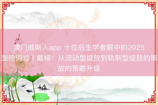 澳门威斯人app 十位后生学者眼中的2025年度表面热词⑩｜戴翔：从流动型绽放到轨制型绽放的策略升级