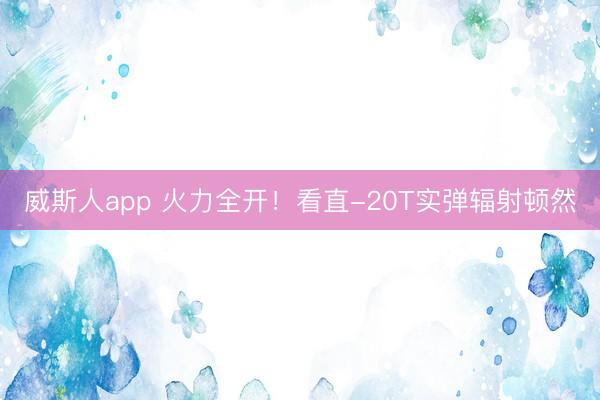 威斯人app 火力全开!看直-20T实弹辐射顿然