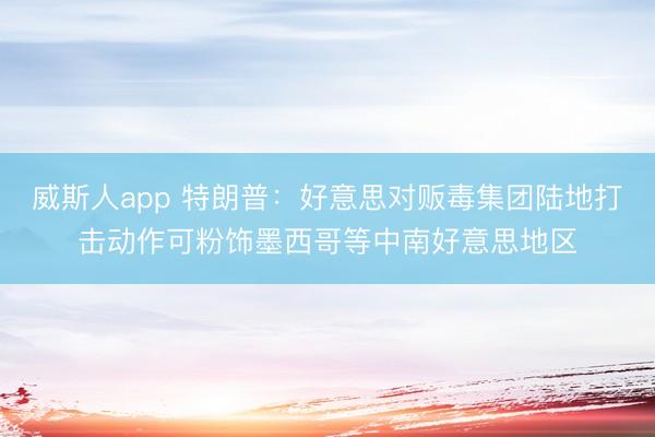 威斯人app 特朗普：好意思对贩毒集团陆地打击动作可粉饰墨西哥等中南好意思地区