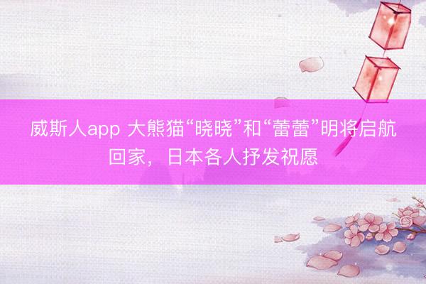 威斯人app 大熊猫“晓晓”和“蕾蕾”明将启航回家，日本各人抒发祝愿