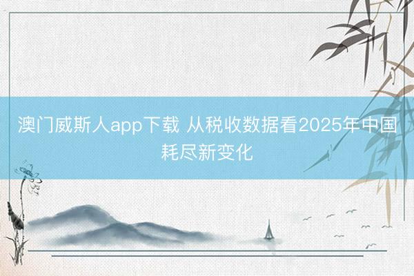 澳门威斯人app下载 从税收数据看2025年中国耗尽新变化