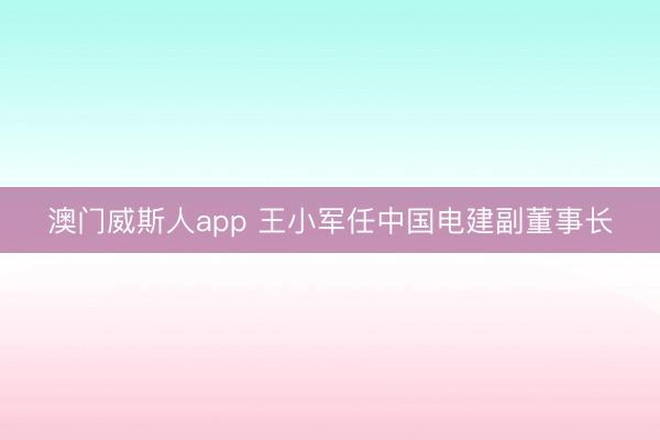 澳门威斯人app 王小军任中国电建副董事长