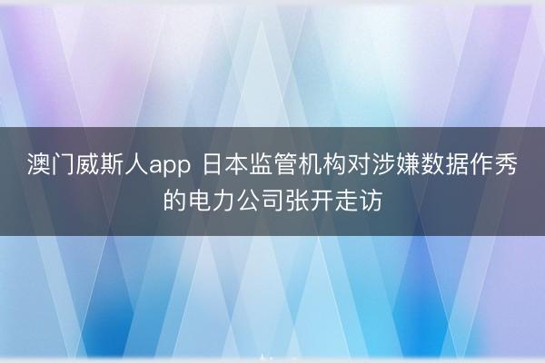 澳门威斯人app 日本监管机构对涉嫌数据作秀的电力公司张开走访