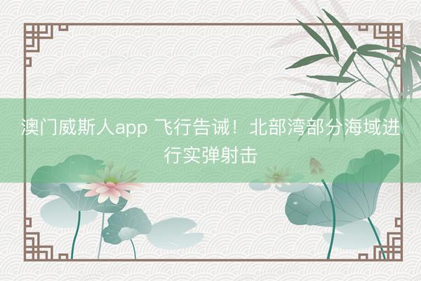 澳门威斯人app 飞行告诫！北部湾部分海域进行实弹射击