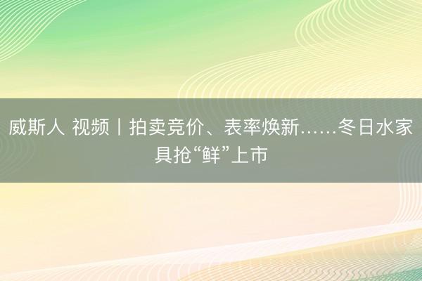 威斯人 视频丨拍卖竞价、表率焕新……冬日水家具抢“鲜”上市