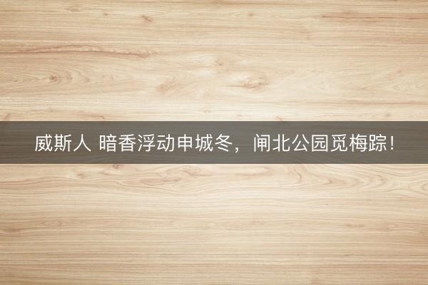 威斯人 暗香浮动申城冬，闸北公园觅梅踪！