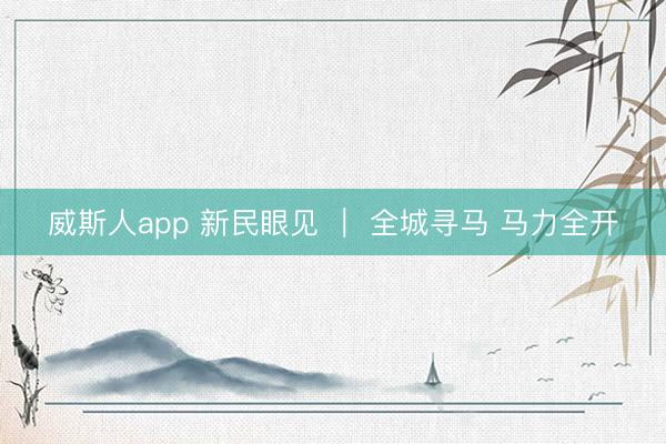 威斯人app 新民眼见 ｜ 全城寻马 马力全开