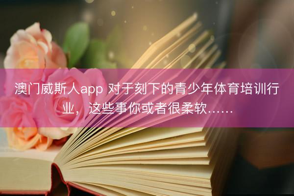 澳门威斯人app 对于刻下的青少年体育培训行业,这些事你或者很柔软……