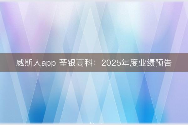 威斯人app 荃银高科：2025年度业绩预告