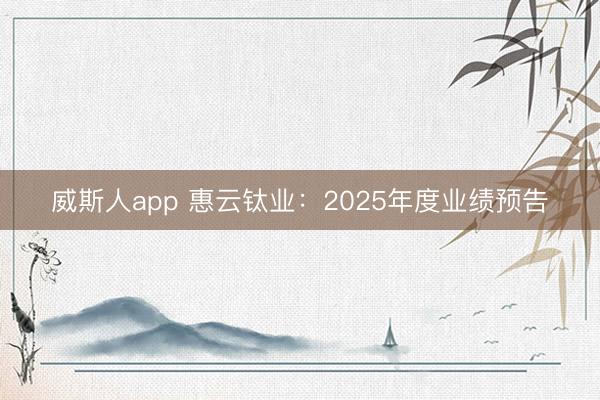威斯人app 惠云钛业：2025年度业绩预告