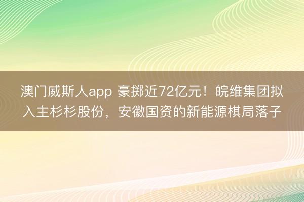 澳门威斯人app 豪掷近72亿元！皖维集团拟入主杉杉股份，安徽国资的新能源棋局落子