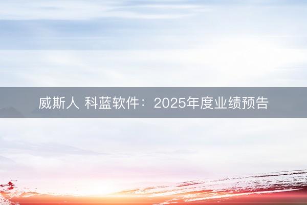 威斯人 科蓝软件:2025年度业绩预告
