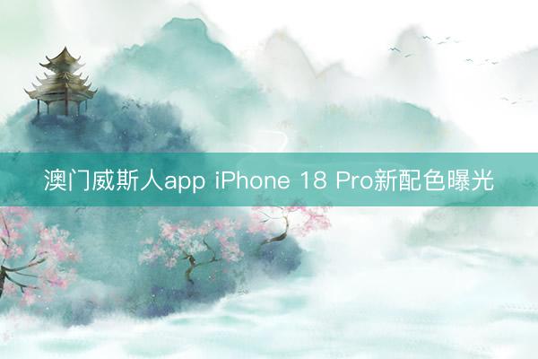 澳门威斯人app iPhone 18 Pro新配色曝光