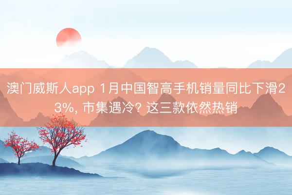 澳门威斯人app 1月中国智高手机销量同比下滑23%， 市集遇冷? 这三款依然热销