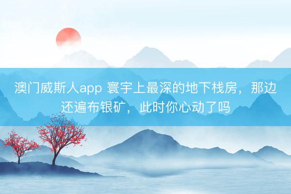 澳门威斯人app 寰宇上最深的地下栈房，那边还遍布银矿，此时你心动了吗