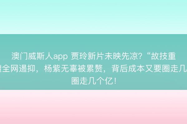 澳门威斯人app 贾玲新片未映先凉?“故技重施”遭全网遏抑,杨紫无辜被累赘,背后成本又要圈走几个亿!