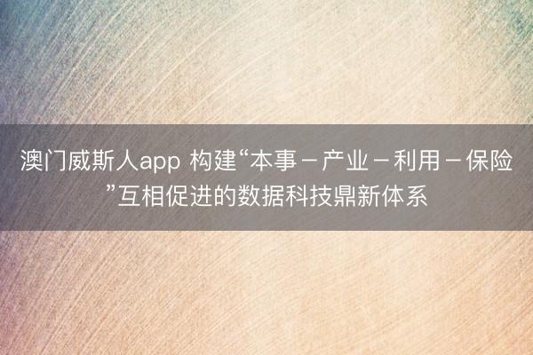 澳门威斯人app 构建“本事－产业－利用－保险”互相促进的数据科技鼎新体系