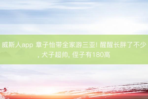 威斯人app 章子怡带全家游三亚! 醒醒长胖了不少， 犬子超帅， 侄子有180高