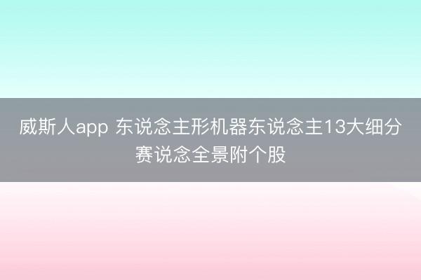 威斯人app 东说念主形机器东说念主13大细分赛说念全景附个股