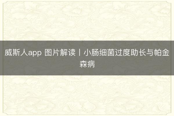 威斯人app 图片解读丨小肠细菌过度助长与帕金森病