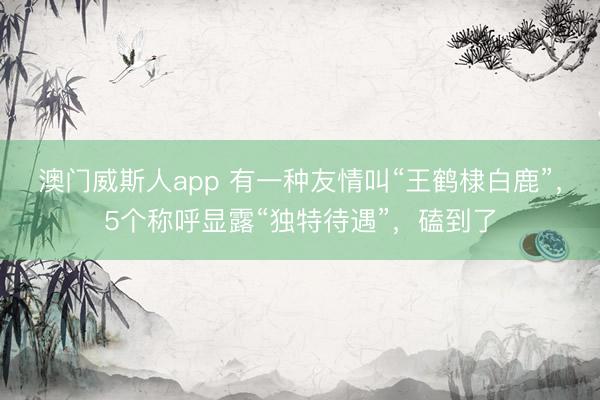 澳门威斯人app 有一种友情叫“王鹤棣白鹿”，5个称呼显露“独特待遇”，磕到了