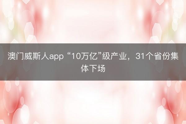 澳门威斯人app “10万亿”级产业，31个省份集体下场
