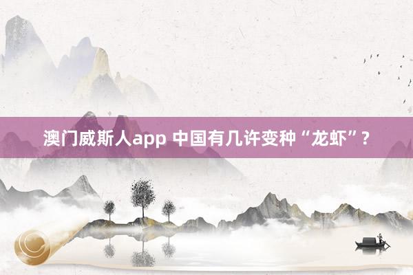 澳门威斯人app 中国有几许变种“龙虾”?