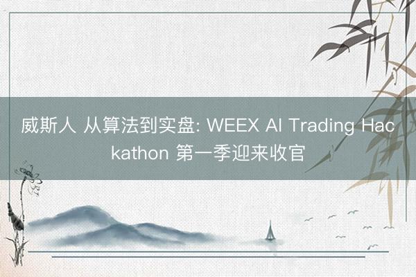威斯人 从算法到实盘: WEEX AI Trading Hackathon 第一季迎来收官