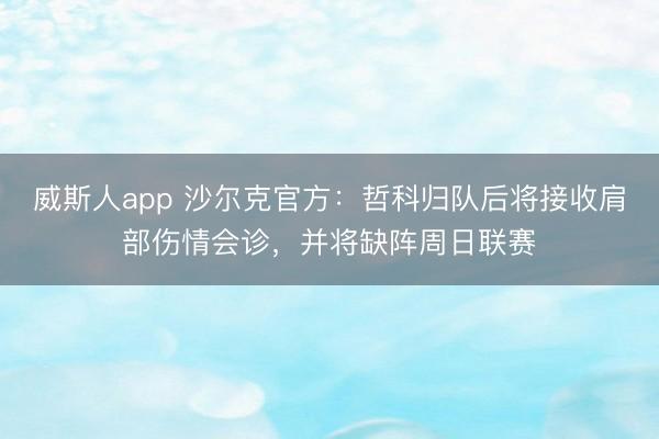 威斯人app 沙尔克官方：哲科归队后将接收肩部伤情会诊，并将缺阵周日联赛