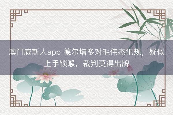 澳门威斯人app 德尔增多对毛伟杰犯规,疑似上手锁喉,裁判莫得出牌