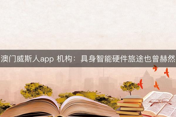 澳门威斯人app 机构：具身智能硬件旅途也曾赫然