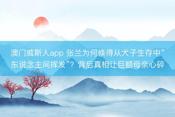 澳门威斯人app 张兰为何倏得从犬子生存中“东说念主间挥发”?背后真相让巨额母亲心碎