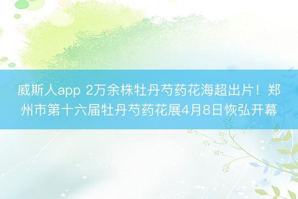 威斯人app 2万余株牡丹芍药花海超出片!郑州市第十六届牡丹芍药花展4月8日恢弘开幕