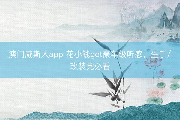 澳门威斯人app 花小钱get豪车级听感,生手/改装党必看
