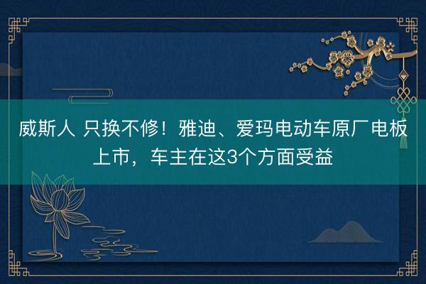 威斯人 只换不修!雅迪、爱玛电动车原厂电板上市,车主在这3个方面受益