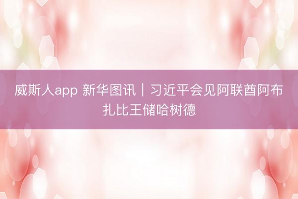 威斯人app 新华图讯|习近平会见阿联酋阿布扎比王储哈树德