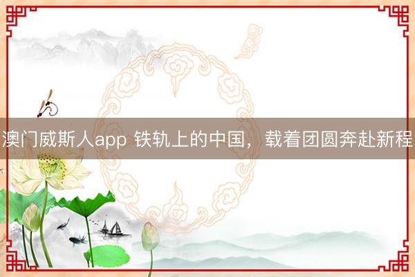 澳门威斯人app 铁轨上的中国,载着团圆奔赴新程