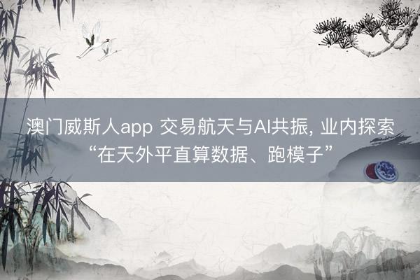 澳门威斯人app 交易航天与AI共振， 业内探索“在天外平直算数据、跑模子”