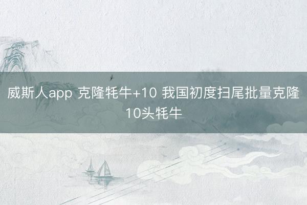 威斯人app 克隆牦牛+10 我国初度扫尾批量克隆10头牦牛