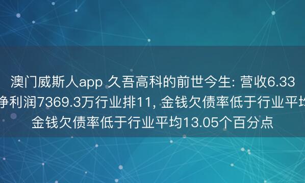 澳门威斯人app 久吾高科的前世今生: 营收6.33亿行业排行18， 净利润7369.3万行业排11， 金钱欠债率低于行业平均13.05个百分点