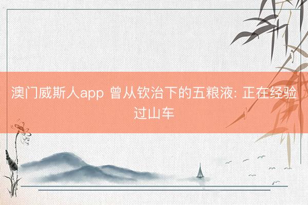 澳门威斯人app 曾从钦治下的五粮液: 正在经验过山车