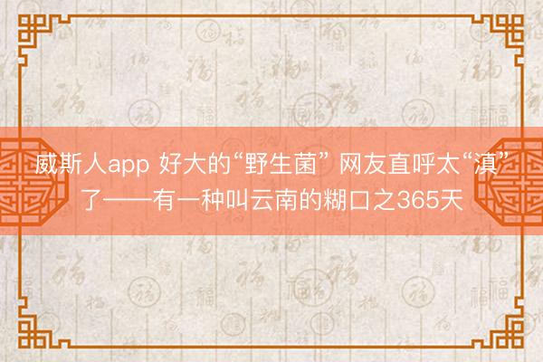威斯人app 好大的“野生菌” 网友直呼太“滇”了——有一种叫云南的糊口之365天